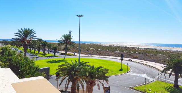 Palm Garden