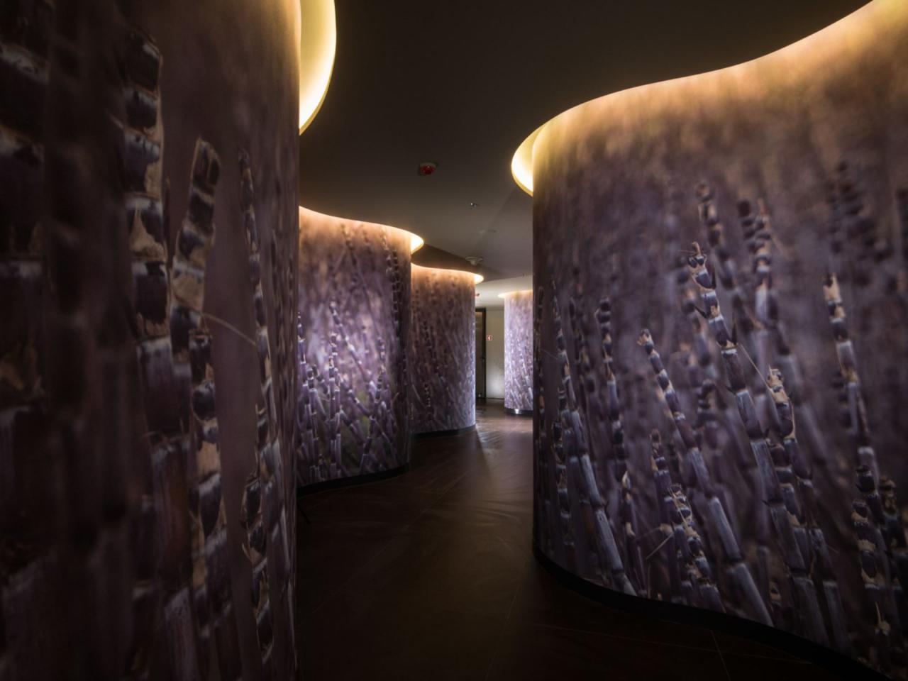 Saccharum Resort & Spa