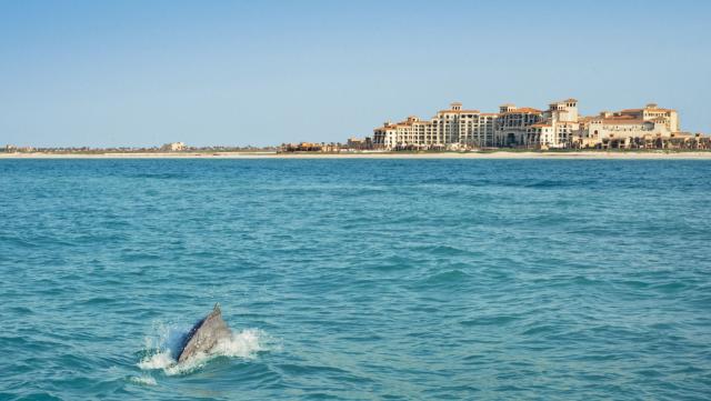 St. Regis Saadiyat Island