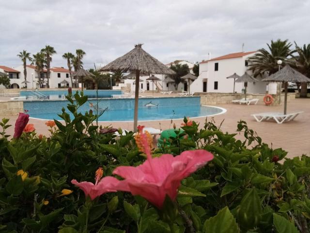 Vista Picas