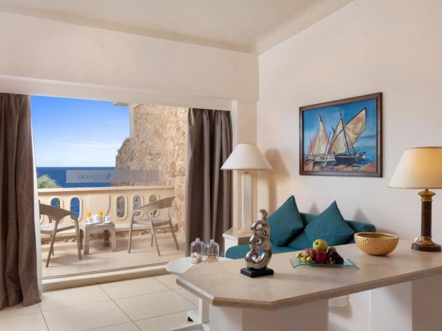 Pickalbatros Citadel Resort