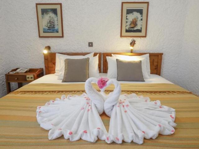 Flamingos