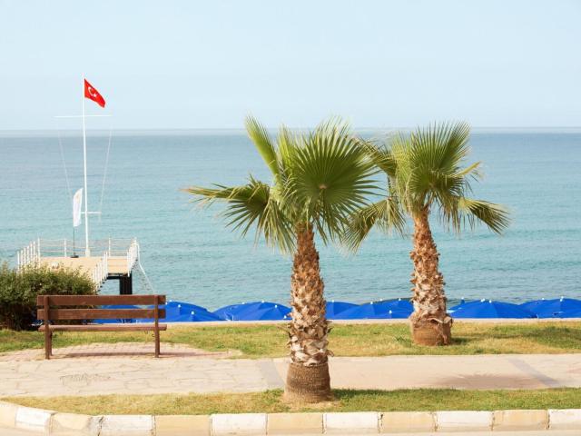 Sunprime C-Lounge