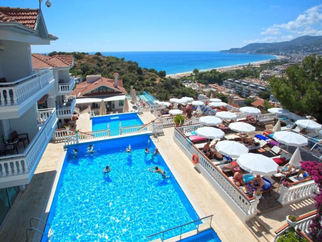 Sunny Hill Alya