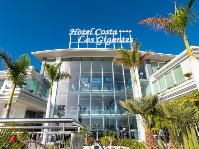 Landmar Costa Los Gigantes