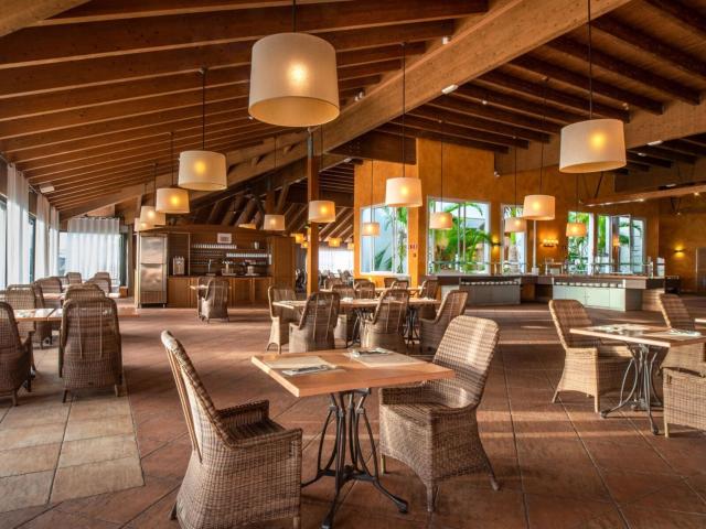 Landmar Costa Los Gigantes