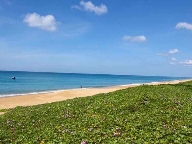 Maikhao Palm Beach & Resort