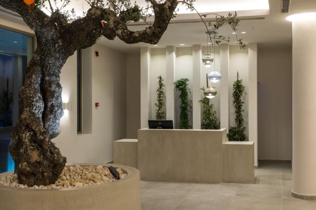 Tsamis Zante Suites