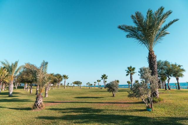 Süral Garden