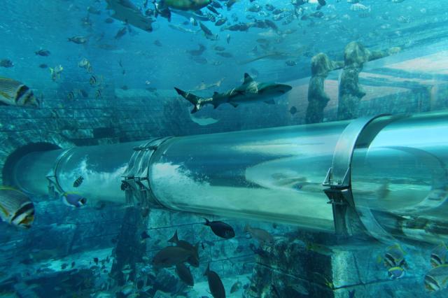 Atlantis The Palm