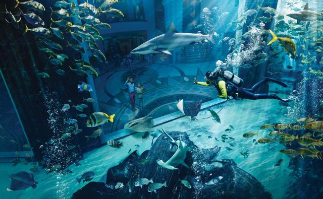 Atlantis The Palm
