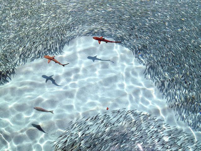 Robinson Club Maldives