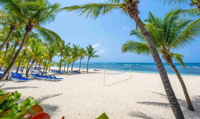 Coral Costa Caribe