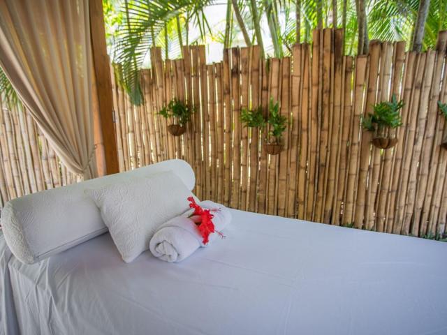 Coral Costa Caribe