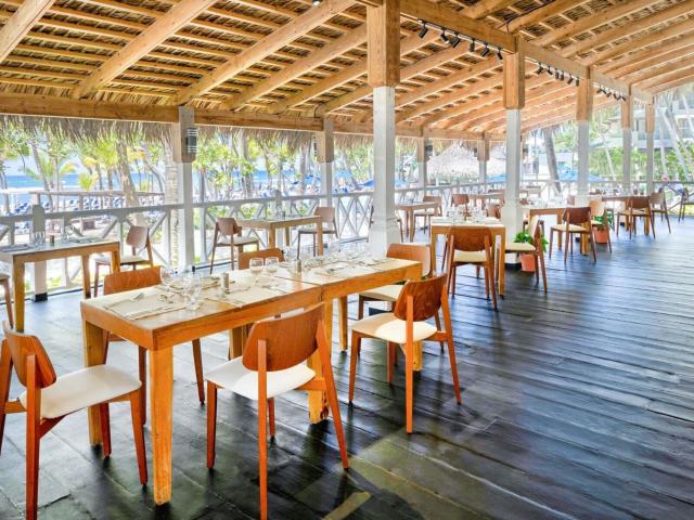 Coral Costa Caribe
