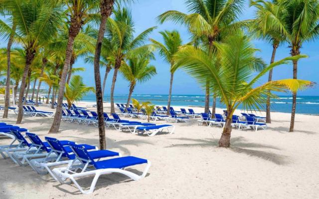 Coral Costa Caribe