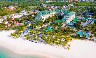 Coral Costa Caribe