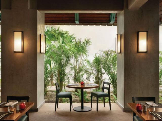 Hilton La Romana Adult