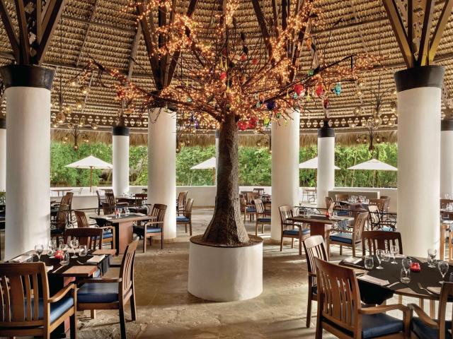 Hilton La Romana Adult