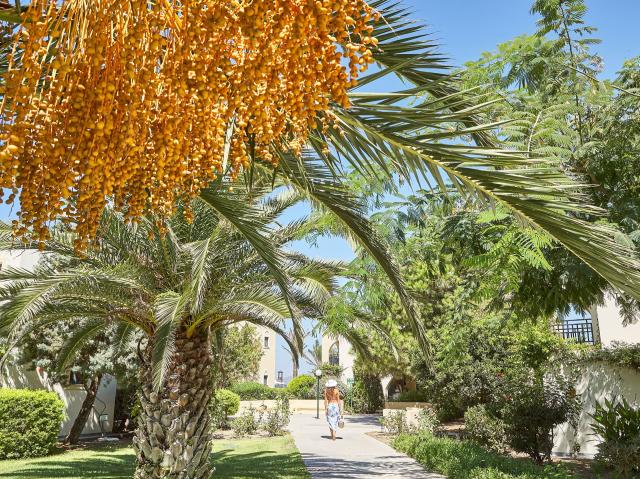 Grecotel Casa Paradiso