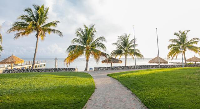 Catalonia Montego Bay