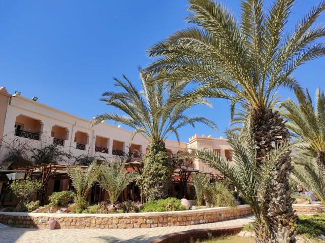 Vincci Safira Palms