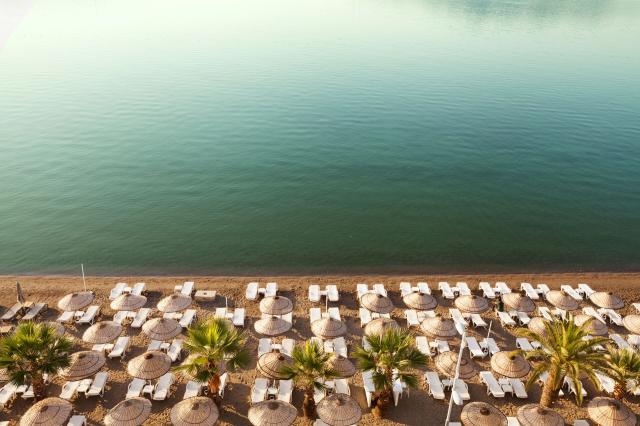 The Beachfront