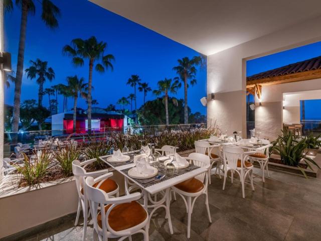 Trendy Palm Beach