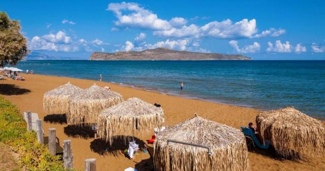 Creta Palm