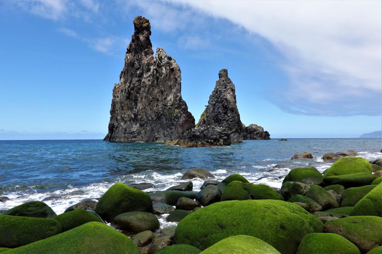 Madeira V Kostce