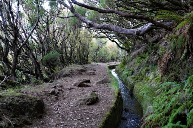 Levada na Rabacalu