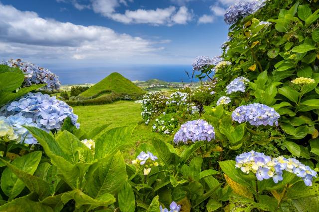 Letní idyla na ostrově Sao Miguel