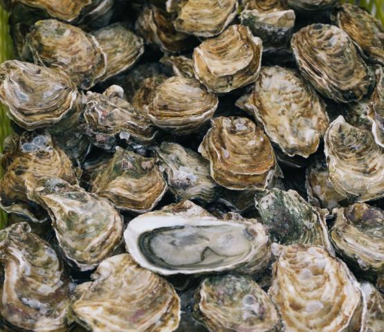 Ústřice patří neodmyslitelně na gastronomickou mapu Francie