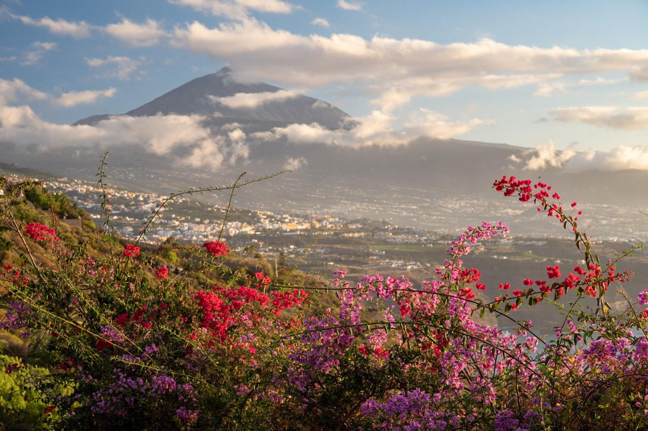 Tenerife - týden s turistikou a mořem