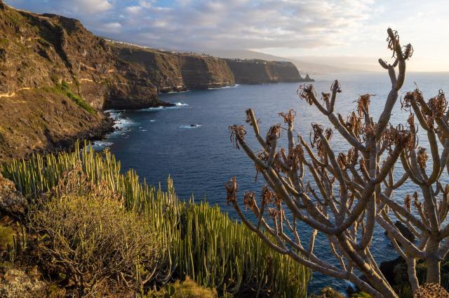 Rozeklané pobřeží Tenerife