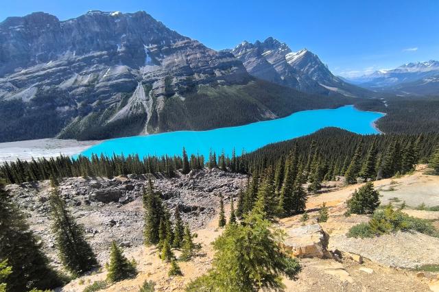 Ledovcové jezero Peyto Lake, Alberta