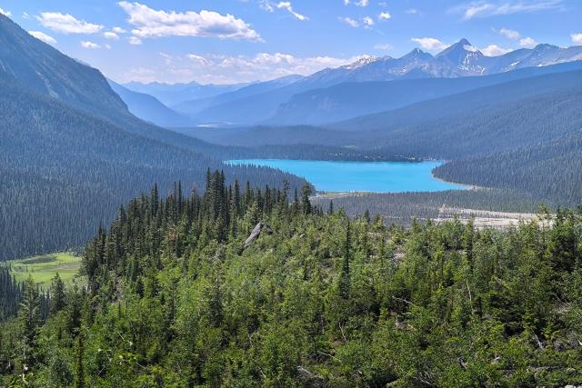 Ledovcové jezero Emerald Lake, British Columbia