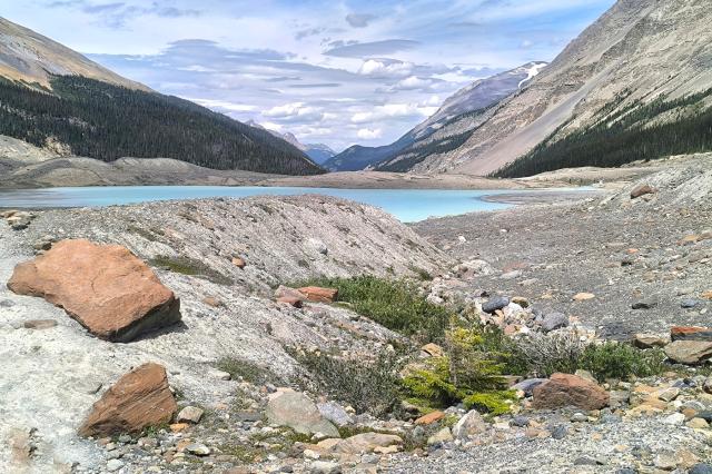 Krajina v blízkosti ledovce Athabasca, Alberta