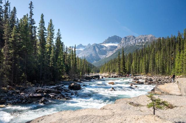 Mistaya Canyon nedaleko silnice Icefields Parkway