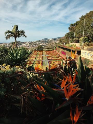 Funchal