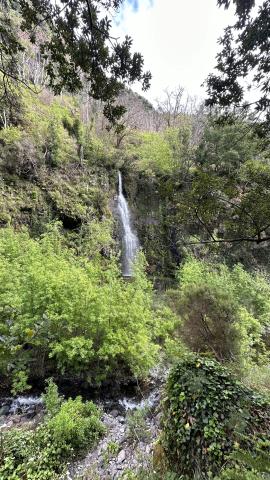 Levada Mill