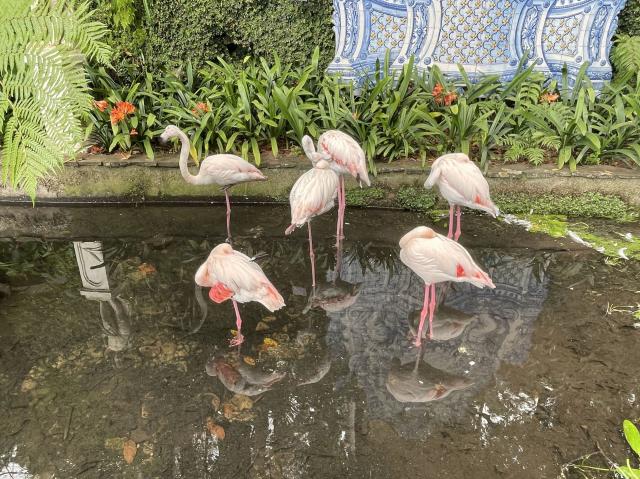 Monte Palace Tropical Garden