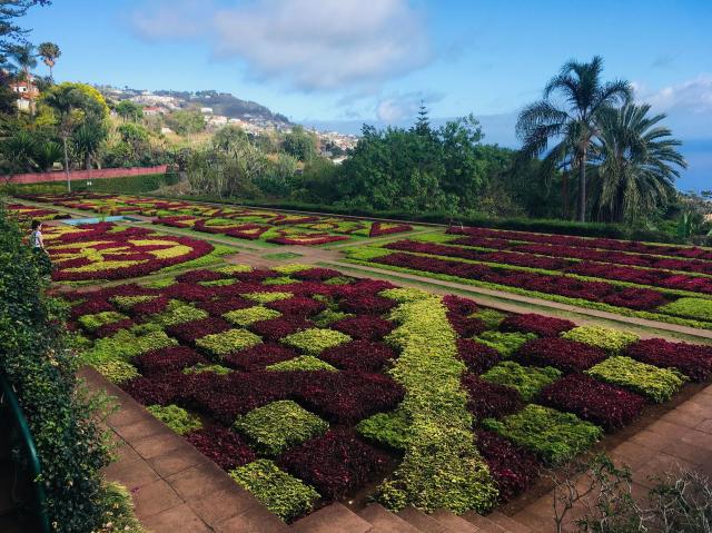 Madeira Botanical Garden