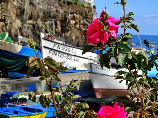 Câmara de Lobos