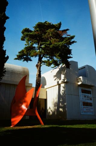 Joan Miró Foundation