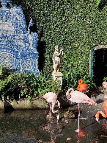 Monte Palace Tropical Garden