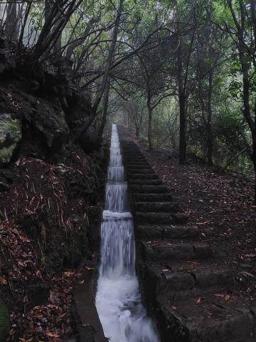 PR11 Levada dos Balcões