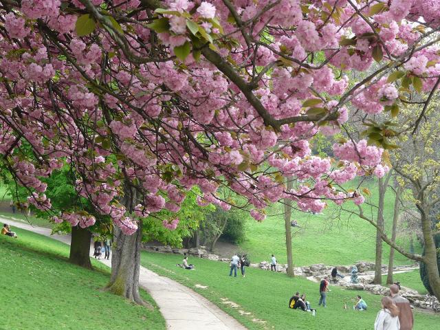 Parc des Buttes-Chaumont