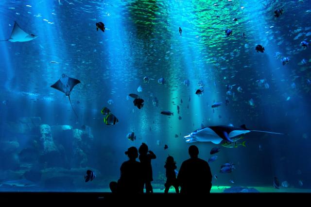 Aquarium de Paris