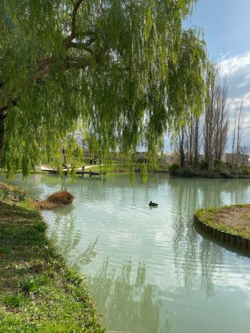 Parc Borély